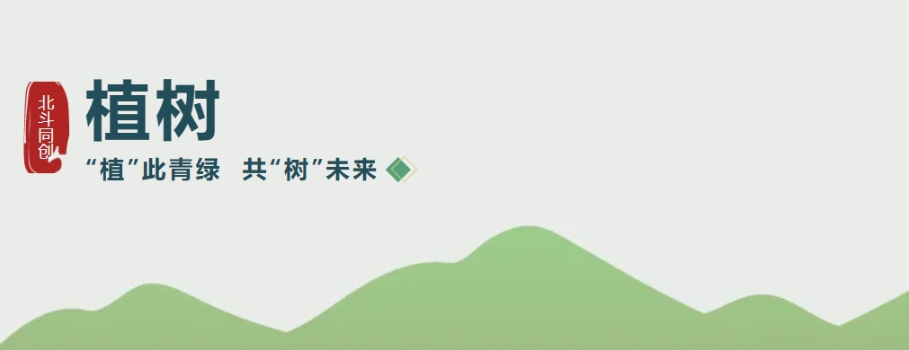 ֲ  δ| Z6ʱչ ＾ɳĮֲ˶